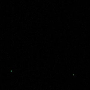 Meet your Posher, Jodi